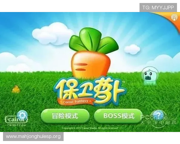 PG娱乐网页版登录不上怎么办导致无法正常进入游戏的详细解决方案